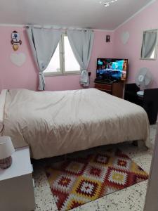 um quarto com uma cama e uma televisão de ecrã plano em Casa del Centro 2P em Santa Caterina Villarmosa