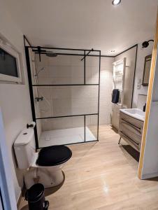 ein Badezimmer mit Dusche, Toilette und Waschbecken in der Unterkunft Charmante maison 6 pers, proche Loire à vélo in Suèvres