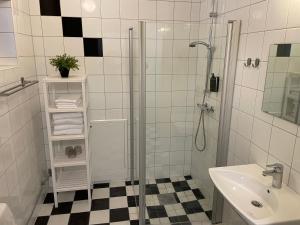 a bathroom with a shower and a sink at Rasta Bromölla in Bromölla