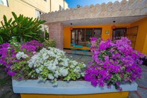 una caja de flores frente a un edificio en Colonial Beach Airport Hotel, en Cartagena de Indias