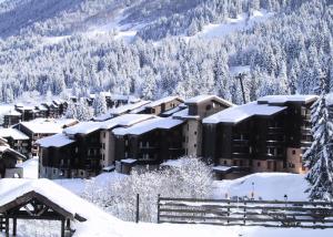 a resort in the mountains covered in snow at LAUZES G - Appartement LAUZES 38 pour 5 Personnes 00 in Valmorel