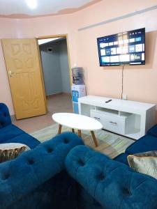 een woonkamer met een blauwe bank en een tv bij Zuri Homes in Naivasha