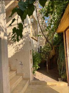 einen Eingang zu einem Gebäude mit Treppen und einem Baum in der Unterkunft Superbe Villa Face à l'Ocean - Agadir beach City in Agadir
