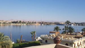 a building next to a body of water with palm trees at Elminaa Residence 6 in Luxor