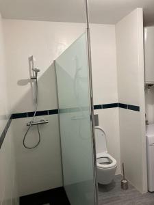 een badkamer met een toilet en een glazen douchecabine bij Séjour coloré et relaxant in Le Chambon-sur-Lignon