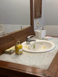 um balcão de casa de banho com um lavatório e um espelho em Casona de Estilo Inglés em Montevidéu