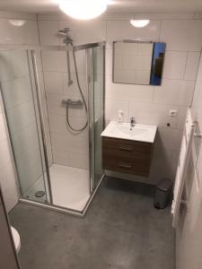 ein Bad mit einer Dusche und einem Waschbecken in der Unterkunft Brasserie/B&B De Pletsmolen in Nuth