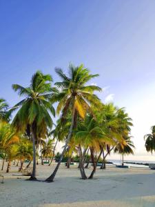 Fotografie z fotogalerie ubytování Holiday home in Kamadhoo Island / Maldives v destinaci Kamadhoo