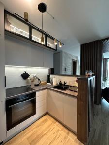 Cuina o zona de cuina de BOROVI PREMIUM wellness&spa