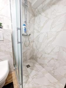 ein Bad mit einer Dusche und einem WC in der Unterkunft Appartement au coeur du Paris. in Paris