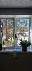 a window with two potted plants on a window sill at Nature Retreat in the city in Ottawa