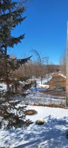 um campo coberto de neve com uma cerca e árvores em Nature Retreat in the city em Ottawa