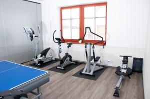 Fitness centrum a/nebo fitness zařízení v ubytování Penzion Pohanka