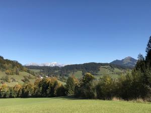 a green field with trees and mountains in the background at Apartment Alpboden-3 by Interhome in Auffach