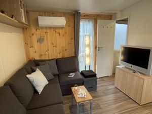a living room with a couch and a flat screen tv at Holiday Home Tiny Haus Auszeit Am See by Interhome in Wemding