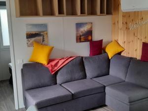 ein Wohnzimmer mit einem grauen Sofa und bunten Kissen in der Unterkunft Holiday Home Petra by Interhome in Wemding