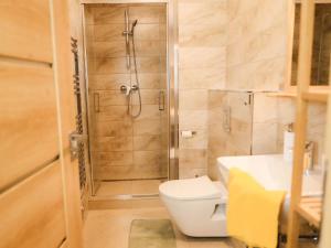 een badkamer met een douche, een toilet en een wastafel bij Apartment Lanovka 1050-4 by Interhome in Jáchymov