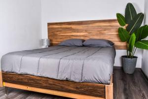 1 cama con cabecero de madera y maceta en Nomad Casa en la mejor ubicación en Hermosillo
