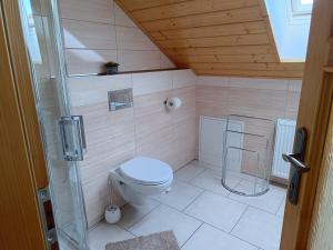 a small bathroom with a toilet and a shower at Tatry TOP Dom in Vavrišovo