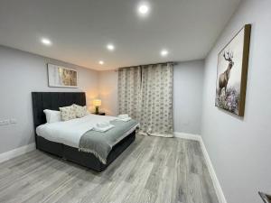 a bedroom with a bed and a deer on the wall at Spacious 1 bed apartment in centre of Walton Town in Walton-on-Thames