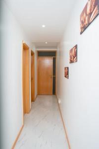 Ảnh trong thư viện ảnh của Saw Paradise in Praia T2 ở Praia +24 ảnh