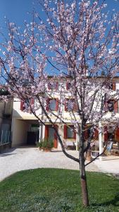 Vonkajšia záhrada v ubytovaní CASA San Gallo