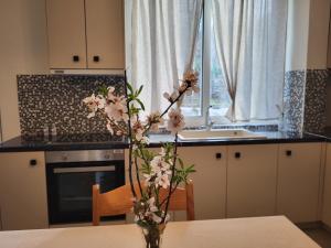 Kuchyň nebo kuchyňský kout v ubytování Avla Apartment