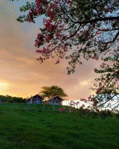 un campo con dos cabañas a lo lejos con un árbol en Chalés Encantos de Minas en Bueno Brandão