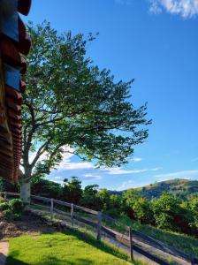 uma árvore na relva ao lado de uma cerca em Chalés Encantos de Minas em Bueno Brandão