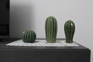 dos cactus verdes sentados en una mesa en Orchidea Home, en Rávena