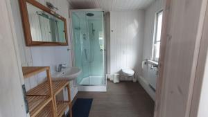 uma casa de banho com um chuveiro, um lavatório e um WC. em Haus Feldblick am Wasser em Berg