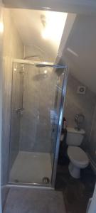 a bathroom with a shower and a toilet at Serene Homes Sheffield, Private Ensuite Velux Room in Hillsborough