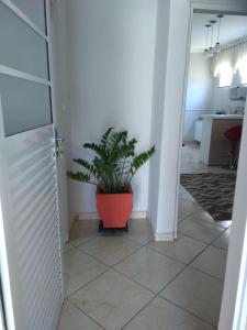 a plant in a red pot in a hallway at Wana casa 2 Requinte e conforto in Sao Jose do Rio Preto