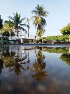 un reflejo de palmeras en un cuerpo de agua en lujoso apartamento, en Ricaurte