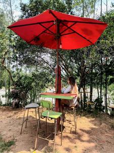 Hostal La Cabaña外面的花园