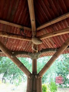 Hostal La Cabaña外面的花园