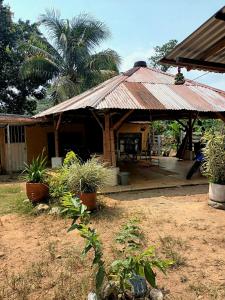 Hostal La Cabaña外面的花园