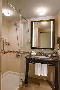 y baño con lavabo y ducha con espejo. en Hampton by Hilton Vadodara-Alkapuri, en Vadodara