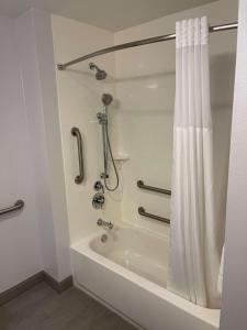 Hampton Inn Dunedin, Fl的一间浴室