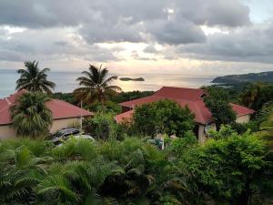 um grupo de casas com palmeiras e o oceano em Gîte Pirates des Caraïbes em Bouillante