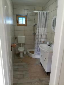 W łazience znajduje się toaleta, prysznic i umywalka. w obiekcie Apartments with a parking space Kraj, Pasman - 22566 w mieście Tkon