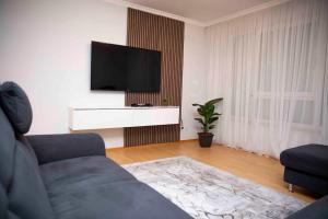 uma sala de estar com um sofá e uma televisão de ecrã plano em Deluxe Apartment em Kahl am Main