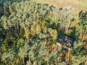 an aerial view of a house in the forest at Holiday home Nexø XX in Neksø