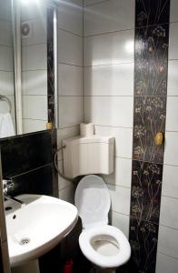a bathroom with a white toilet and a sink at Apartament Central Onix in Braşov
