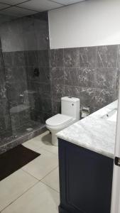 ein Bad mit einem WC, einem Waschbecken und einer Dusche in der Unterkunft Hotel Boutique Grand Cru in Santa Cruz