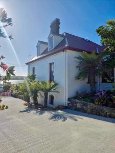a white house with palm trees in front of it at Poet's Cottage Stanley in Stanley