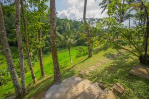 a painting of a path through a forest with palm trees at Pesona Bali Ecolodge in Jatiluwih