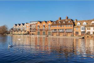 a swan swimming in the water in front of buildings at Stunning, CastleView, Riverside, Modern Townhouse in Eton