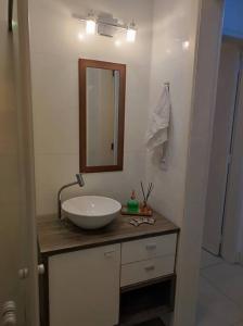 阿雷格里港的住宿－Ótimo AP Consulado Americano, Iguatemi e Fiergs，浴室设有水槽和镜子,位于柜台上