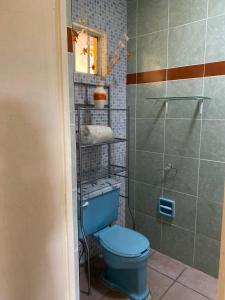ein Badezimmer mit einem blauen WC und einer Dusche in der Unterkunft Quinta Ángeles in Cuernavaca